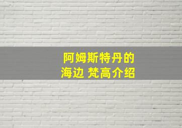 阿姆斯特丹的海边 梵高介绍